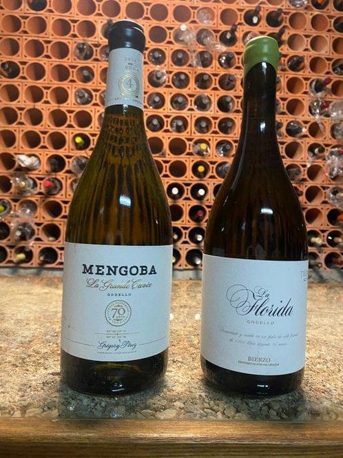 2018 1× Mengoba La Grande Cuvée Godello 2018 & 1× Tilenus La, Verzamelen, Wijnen