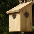 NIEUW - Nestkast camera ready, Animaux & Accessoires, Oiseaux | Oiseaux Autre