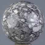 Shell steen Fijn kwaliteit schelpkalk bal - Hoogte: 14.7 cm, Verzamelen
