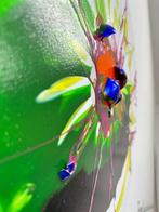 Santicri - Spin Impact