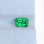 Sans Prix de Réserve - 1 pcs  Vert Tsavorite  - 1.57 ct -, Nieuw