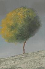 Guido Borelli - leggero leggero
