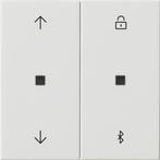 Gira Systeem 3000 Intelligent Controle Element - 536703, Doe-het-zelf en Bouw, Verzenden, Nieuw