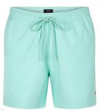 2dekans | Undiemeister Zwembroek – Heren – Sneldrogend – 4, Vêtements | Hommes, Vêtements de bain & Maillots de bain, Ophalen of Verzenden