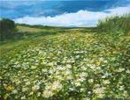 Sergei Mikhailichenko (1970) - Landscape - Chamomile field