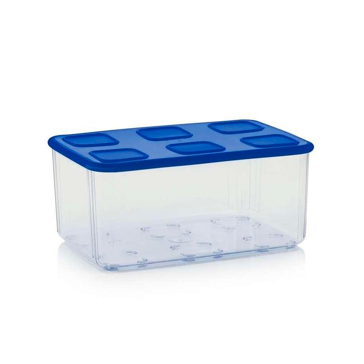 Tupperware Clear Doos 2,5 l, Huis en Inrichting, Keuken | Tupperware, Nieuw, Verzenden