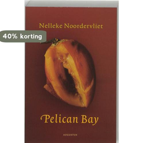 Pelican Bay 9789045700816 Nelleke Noordervliet, Boeken, Romans, Zo goed als nieuw, Verzenden