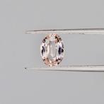 Zonder Minimumprijs Saffier  - 1.38 ct - International, Handtassen en Accessoires, Edelstenen, Nieuw