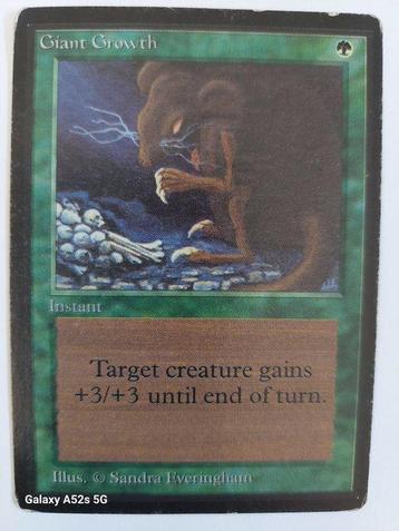 Wizards of The Coast - 3 Card - Magic: The Gathering beschikbaar voor biedingen