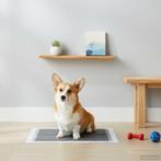 vidaXL Hondentrainingspad Effen 200 pcs 90 x 60 cm, Animaux & Accessoires, Verzenden