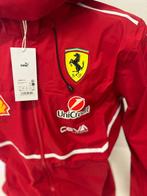 Puma (Limited Edition) - Veste - Neuf avec étiquette, Nieuw