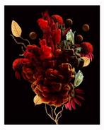 Elena Paraskeva - Blooms Of The Atrium #2