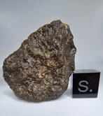 Ureiliet meteoriet, NWA 17031. Met voorkomen van, Verzamelen, Mineralen en Fossielen
