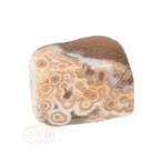 Oceaan Jaspis trommelsteen Nr 40 - 22 gram, Handtassen en Accessoires, Edelstenen, Nieuw, Verzenden