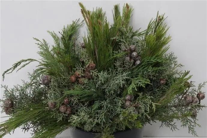 Conifeermix gemengd conifeer bundel ca. 10 stuks, Huis en Inrichting, Woonaccessoires | Kunstplanten en Kunstbloemen, Nieuw