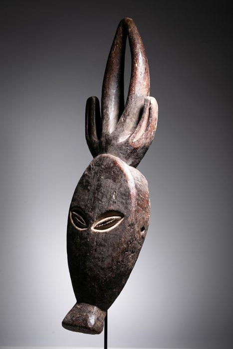 Masque antilope Booang - Kwele - Gabon, Antiek en Kunst, Kunst | Niet-Westerse kunst