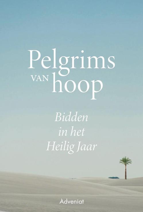 Pelgrims van hoop 9789493395022, Boeken, Godsdienst en Theologie, Zo goed als nieuw, Verzenden