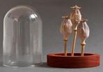 Opio Taxidermie volledige montage - Papaver somniferum - 14, Antiek en Kunst
