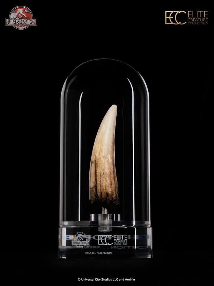 Jurassic Park III Prop Replica 1/1 Spinosaurus Tooth 14 cm, Collections, Cinéma & Télévision, Enlèvement ou Envoi