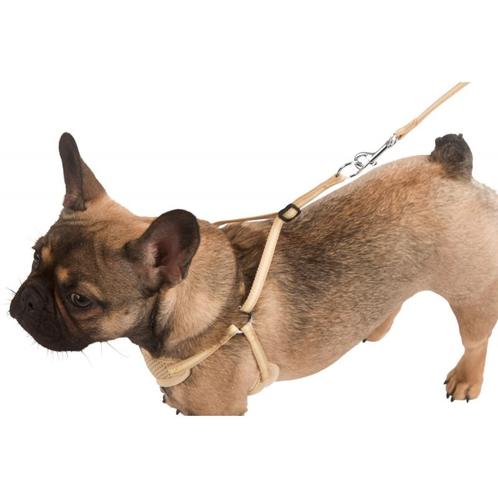 Harnais pour chiots avec laisse, beige, 24-44cm - 10mm -, Dieren en Toebehoren, Honden-accessoires