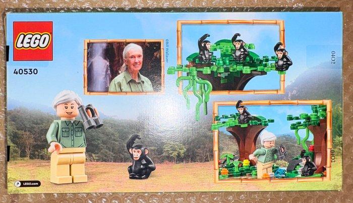 Lego Set - 40530 - Employee Gift - Trybut dla Jane Goodall, Kinderen en Baby's, Speelgoed | Duplo en Lego