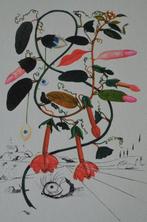 Salvador Dali (1904-1989) - Cobea (Pisum sensuale)