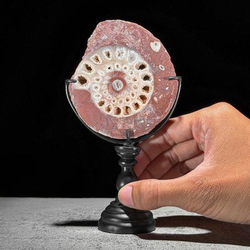 GEEN MINIMUMVERKOOPPRIJS - Prachtige decoratieve set -, Antiek en Kunst, Kunst | Designobjecten