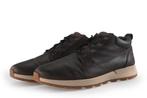 Timberland Sneakers in maat 46 Bruin | 5% extra korting, Kleding | Heren, Schoenen, Bruin, Verzenden, Timberland, Zo goed als nieuw