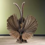 Argusfazant M Taxidermie Opgezette Dieren By Max, Ophalen of Verzenden, Nieuw, Vogel, Opgezet dier