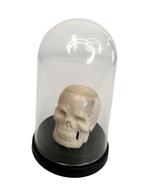 sculptuur, Schedel - in stolp (memento mori) - 3 cm - Hoorn, Antiek en Kunst