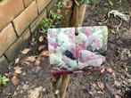 Assortiment Sierstammen - Hydrangeas - Acers (x10), Tuin en Terras