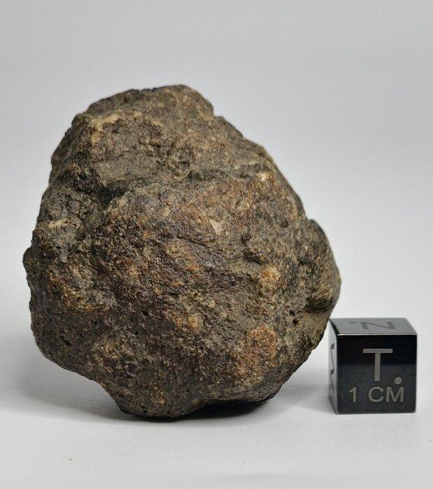 Tisserlitine 007 HED, achondriet (Eucriet smeltbreccia), Collections, Minéraux & Fossiles