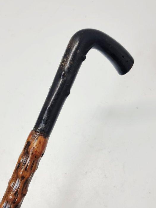 Wandelstok - Hoorn, Hout, Antiek en Kunst, Antiek | Overige Antiek