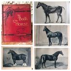 S. Sidney - The Book of the Horse - 1893