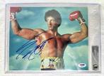 Rocky III - Signed by Sylvester Stallone (Rocky Balboa) -, Collections, Cinéma & Télévision