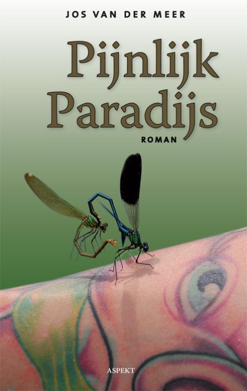 Pijnlijk paradijs 9789059118911 Jos van der Meer, Boeken, Literatuur, Gelezen, Verzenden