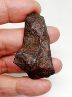 Canyon Diablo meteorite Météorite de fer - 73 g
