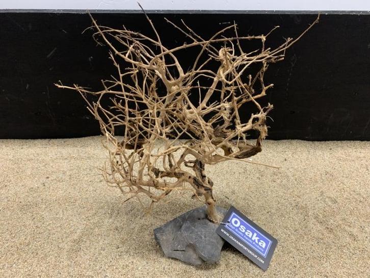 Osaka Bonsai Tree nr 20 - 28x10x36cm - aquascaping boom, Dieren en Toebehoren, Vissen | Aquaria en Toebehoren, Plant(en), Steen of Hout