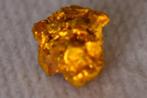 Goud Goud nuggets- 0.38 g - (1), Verzamelen
