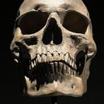 Beeld, NO RESERVE PRICE - Stunning human skull statue on a