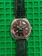 Meister Anker - glashutte spezimatic Space dial - Zonder, Handtassen en Accessoires, Horloges | Heren, Nieuw