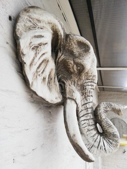 Wanddecoratie - Europa - Olifantenhoofd, Antiek en Kunst, Kunst | Designobjecten