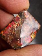 Ammolite - Fragment fossilisé - Placenticeras - 2.7 cm - 2.1