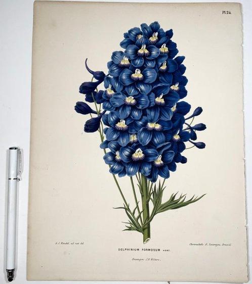 Lot of 4 folio lithographs - A.J. Wendel - 1868 - Decorative, Antiek en Kunst, Antiek | Boeken en Manuscripten