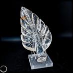 Quartz clair naturel en forme de branche Une œuvre dart, Nieuw