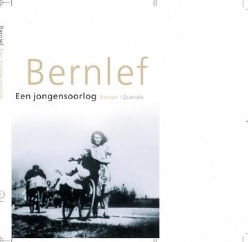 Een jongensoorlog 9789021452920 Bernlef, Verzenden, Bernlef