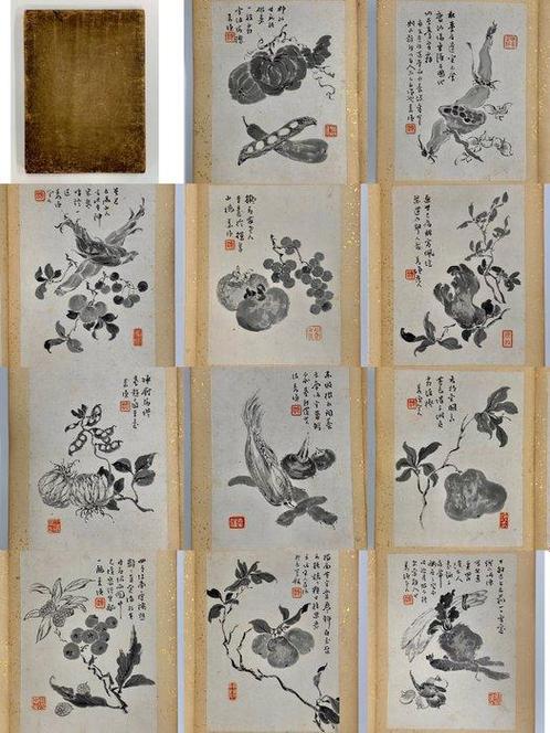 Peinture (1) - Papier - Ink book of rare plants - Chine -, Antiquités & Art, Antiquités | Autres Antiquités