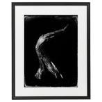 Tommaso Grella - Lesprit de la forêt