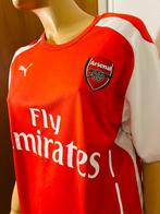 Arsenal - Championnat dAngleterre de Football - 2014 -