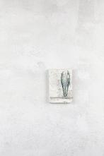 Simone Sirna - Osservatori del cielo